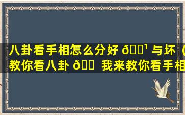 八卦看手相怎么分好 🌹 与坏（教你看八卦 🐠 我来教你看手相）